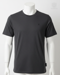 Camiseta Gris